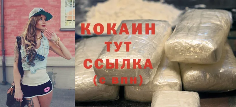 купить   Новодвинск  Cocaine 99% 