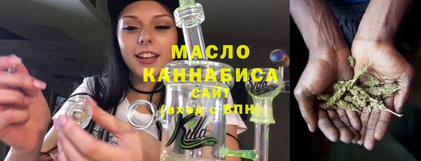 гидра Михайловка