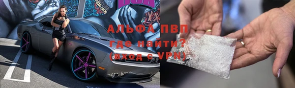 гидра Михайловка