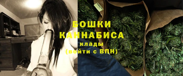 Альфа ПВП Елизово