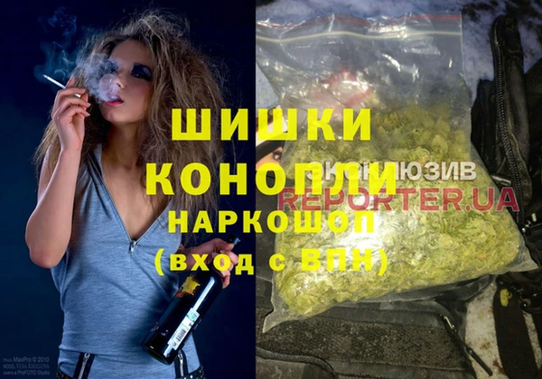 гидра Михайловка