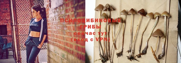 прущий лед Михайлов