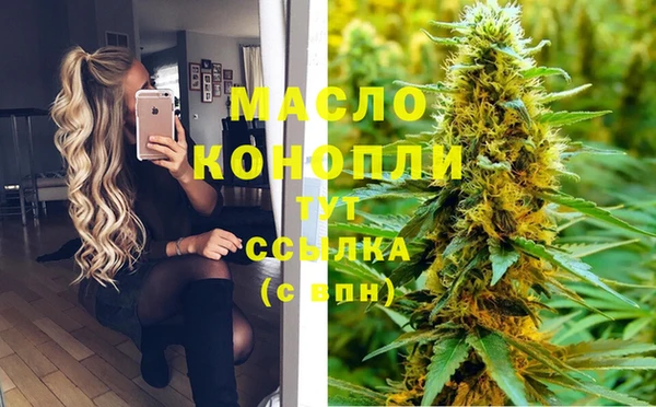 прущий лед Михайлов