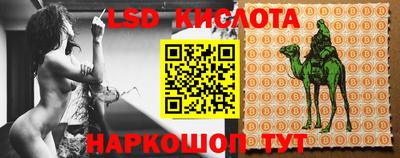 шишки Краснодар