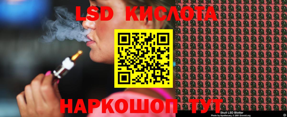 Галлюциногенные грибы Новодвинск