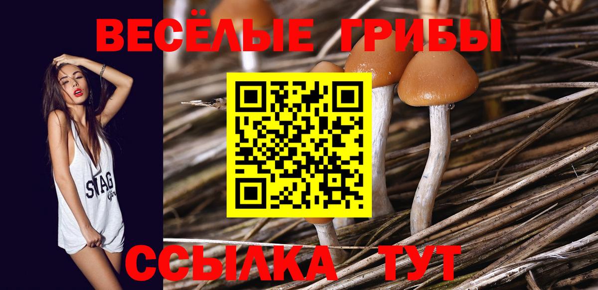 цена наркотик  Псилоцибиновые грибы мицелий  Псилоцибиновые грибы Magic Shrooms  Вход с VPN  Новодвинск 