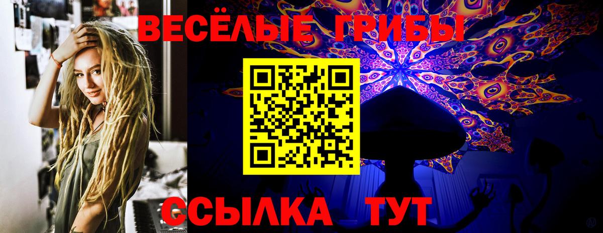 Псилоцибиновые грибы прущие грибы Новодвинск